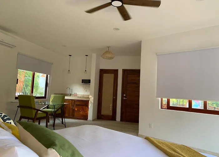 Luana Suites- Maya Apartahotel Zihuatanejo